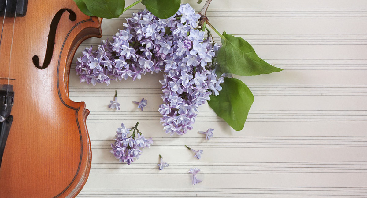 a violin, lilacs, and sheet music