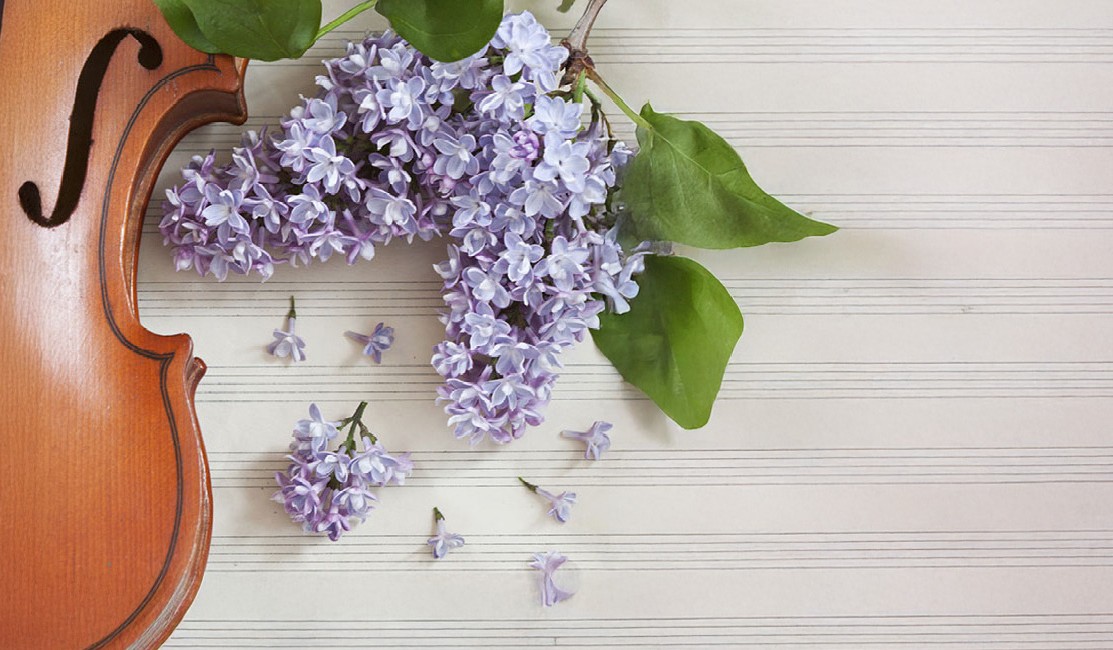 a violin, lilacs, and sheet music